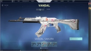 CONTA DE VALORANT skins brabas