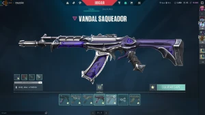 Valorant Conta Com 2600VP e  quase R$ 1600 Gastos