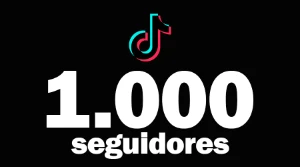 Tiktok 1000 Seguidores - Redes Sociais