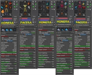 EK 124 C/ RK + outros chars com skill Honera/Pacera - Tibia