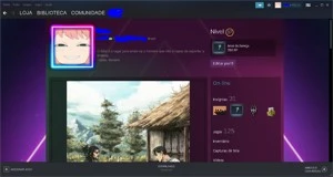 CONTA STEAM 7 ANOS