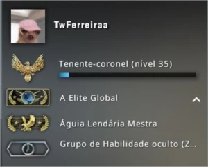 Conta Global com Prime CSGO - Counter Strike