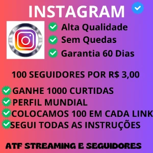 seguidores Instagram barato