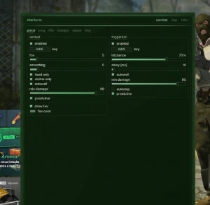 Cheat para CS2 - 100% Indetectável, hack cs2 aimbot+esp+misc - Counter Strike