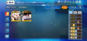 Conta Fate/GO JP - 12 SSR - Outros