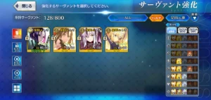 Conta Fate/GO JP - 12 SSR - Outros