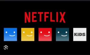 Netflix HD 5 telas conta completa via operadora 30 dias - Gift Cards