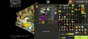 Conta Dofus 117 brutas com criação de montaria e equipada