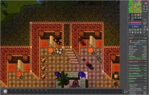 Acc Quintera e Magera - Tibia