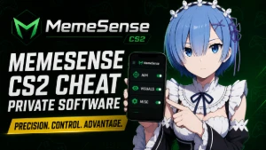 Memesense CS2 1 Mês de assinatura