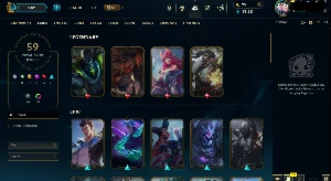 Conta Grãomestre Soloq |  59 Skins | Level 136 | - League of Legends LOL