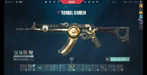 Conta Valorant Muitas Skins - Preço Negociável
