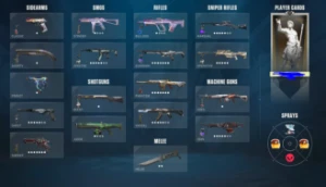 conta valorant imortal diamante lotada de skin