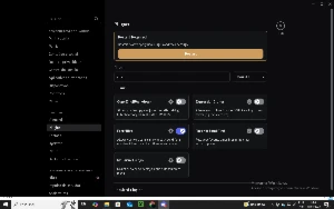 Nitro Eterno, Discord - Outros
