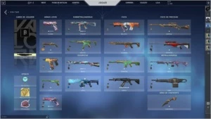 Conta com Vandal Saqueadora, 2 Passes Completos, 295 RP. - Valorant