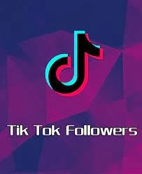 TIKTOK SEGUIDORES - Redes Sociais