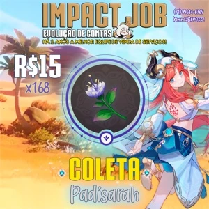 Impact Job - Coleta Padisarah (x168) - Genshin Impact