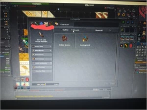 Paladino lvl 125 - Tibia