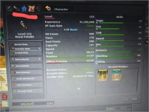 Paladino lvl 125 - Tibia