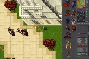 EK MENERA 357 F HAT CHAR LOVER - Tibia
