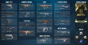 Conta Valorantfa 7 Phantom,11 Facas, 7 Vandal, 5 Sherfiff