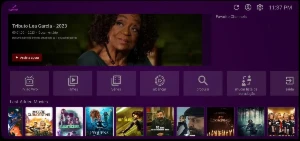 Script Vu Player Revenda Com Painel Administrador - Outros