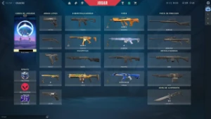 Conta Valorant Com Faca XenoCaçadora, Vandal Ion e +6 Skins
