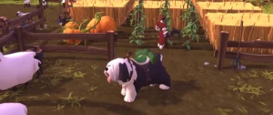 Skin bobtail - Albion Online