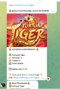 Bot Fortune Tiger TeleGRAM - Outros