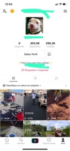 Conta TikTok 200 mil seguidores - Redes Sociais