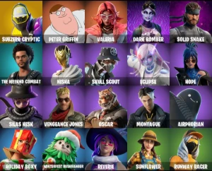 FORTNITE 20 skins, Subzero Cryptic - PC