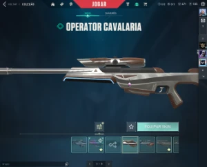 Platina 3, Chaveiro Raro 471Vp, 1463 reais gastos - Valorant