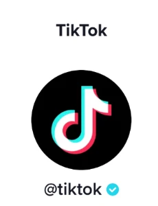 Conta TikTok 400 Seguidores Reais - Redes Sociais