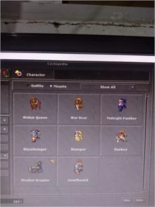 Sell RP Lutabra - skills 114, ml 29 com Makers skills 100+ - Tibia