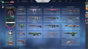 conta valorant  (varias skins)  mais informaçoes pv