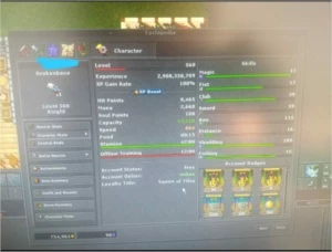 Elite Knight Levem 560 - Celebra - Skills 115/109 - Tibia