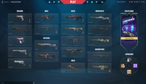 Conta da Riot, Skin e elo no Valorant e League of Legends