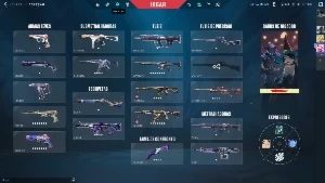 Valorant Ex-Imortal Do Episodio Passado Com Vct 2024