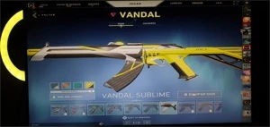 Conta Diamante 1, Varias skins (mais de 500 reais) - Valorant