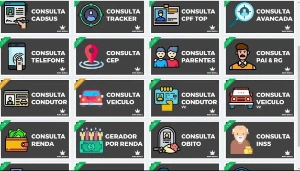 Consulta De Dados Cpf, Placa, Endereço, Telefone. - Serviços Digitais
