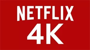 NETFLIX - CONTA PRIVADA - Assinaturas e Premium