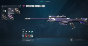 Conta Ex Radiant Com Muitas Skins - Valorant