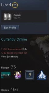 Conta Steam 466 Jogos, 210 DLCs, Level 31