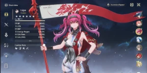 Conta WutheringWaves Comp premium full build + pit garantido - Outros