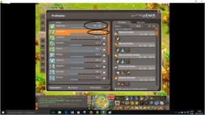 SRAM nvl 200 com (SET) 6700 pontos sucessos' dolmanax e p2p - Dofus
