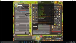SRAM nvl 200 com (SET) 6700 pontos sucessos' dolmanax e p2p - Dofus