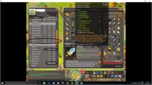 SRAM nvl 200 com (SET) 6700 pontos sucessos' dolmanax e p2p - Dofus