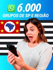 ​🚀 6.000 Grupos - SP & Região 2026 - Others