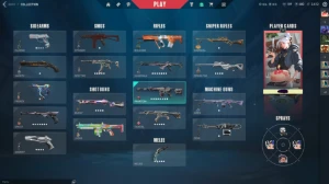 Conta Valorant Imortal Varias Skins Acess Full