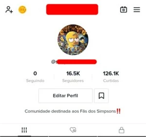 Conta TikTok com 14k de Seguidores - Redes Sociais